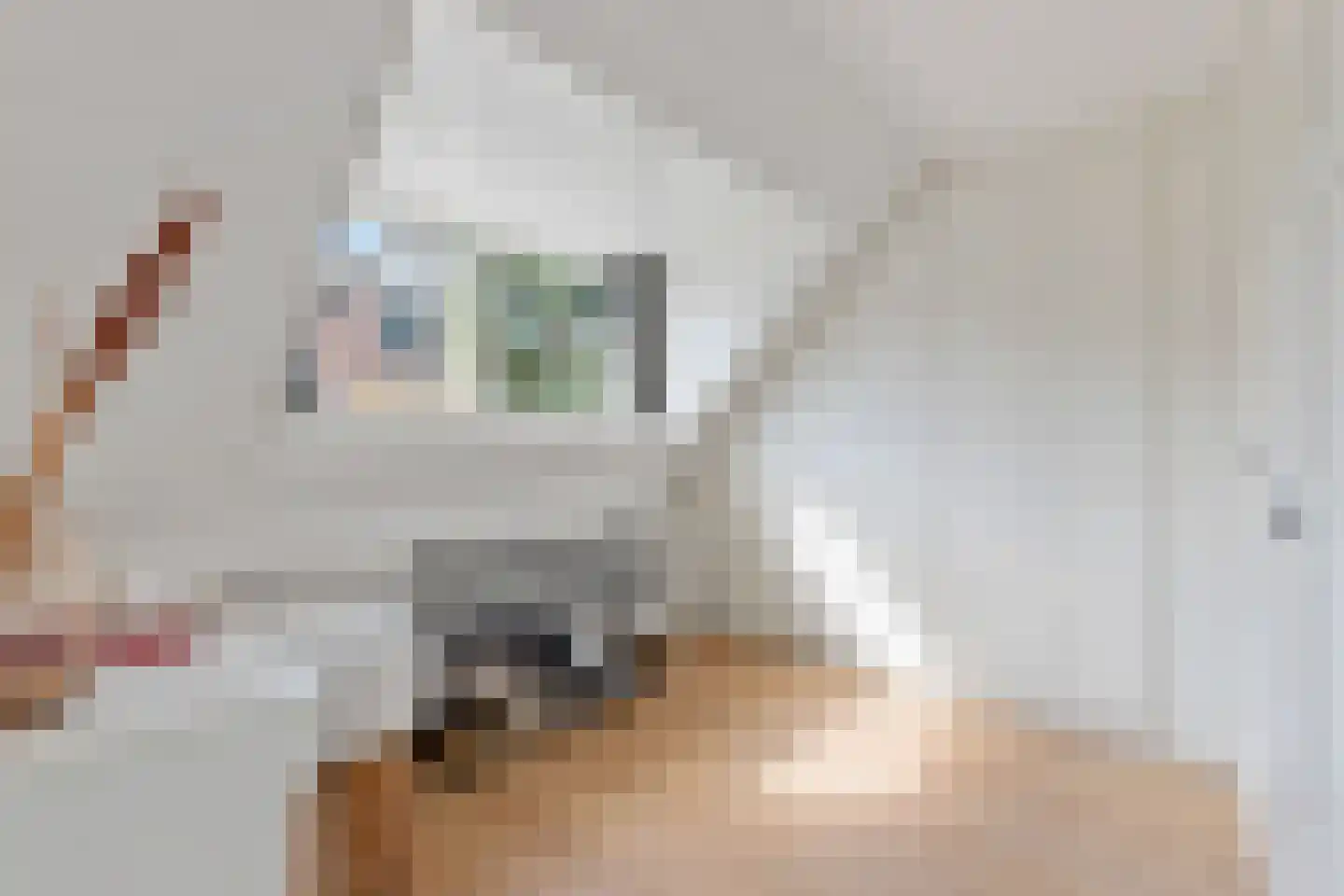 Melkweg 1 Bussum thumbnail 25