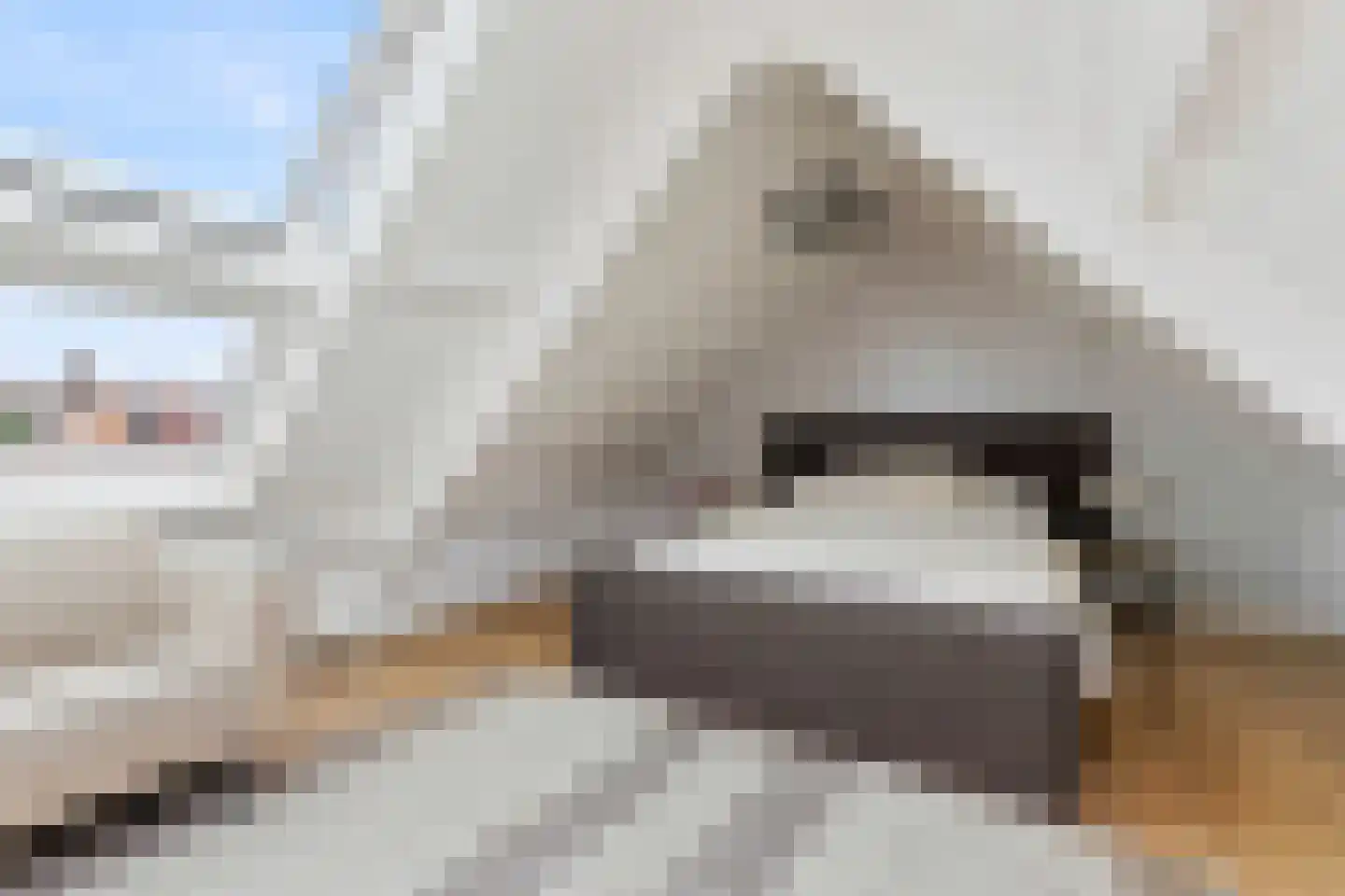 Melkweg 1 Bussum thumbnail 29