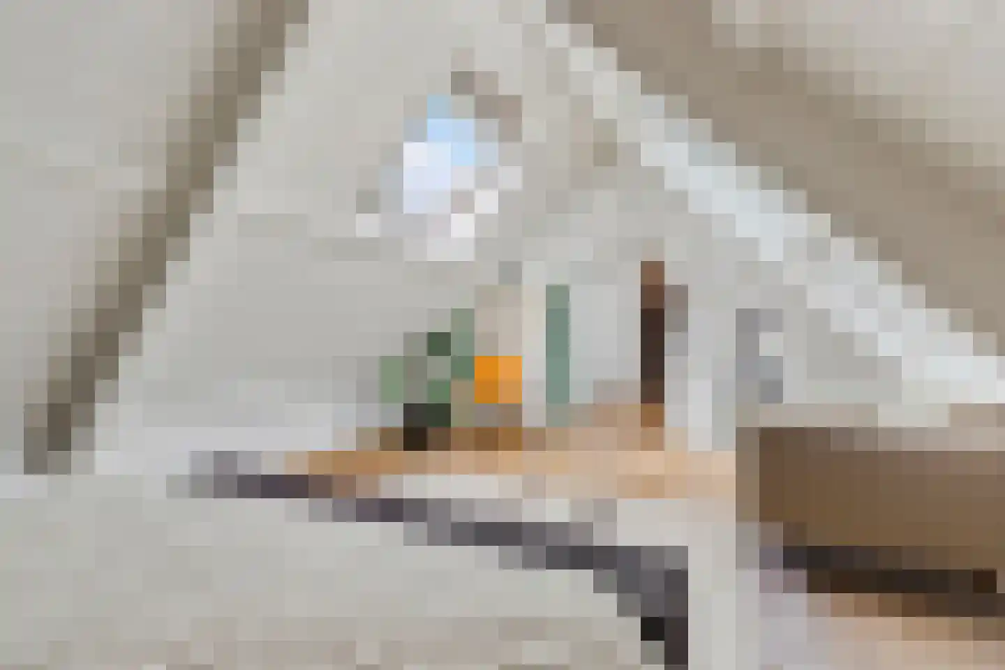Melkweg 1 Bussum thumbnail 30