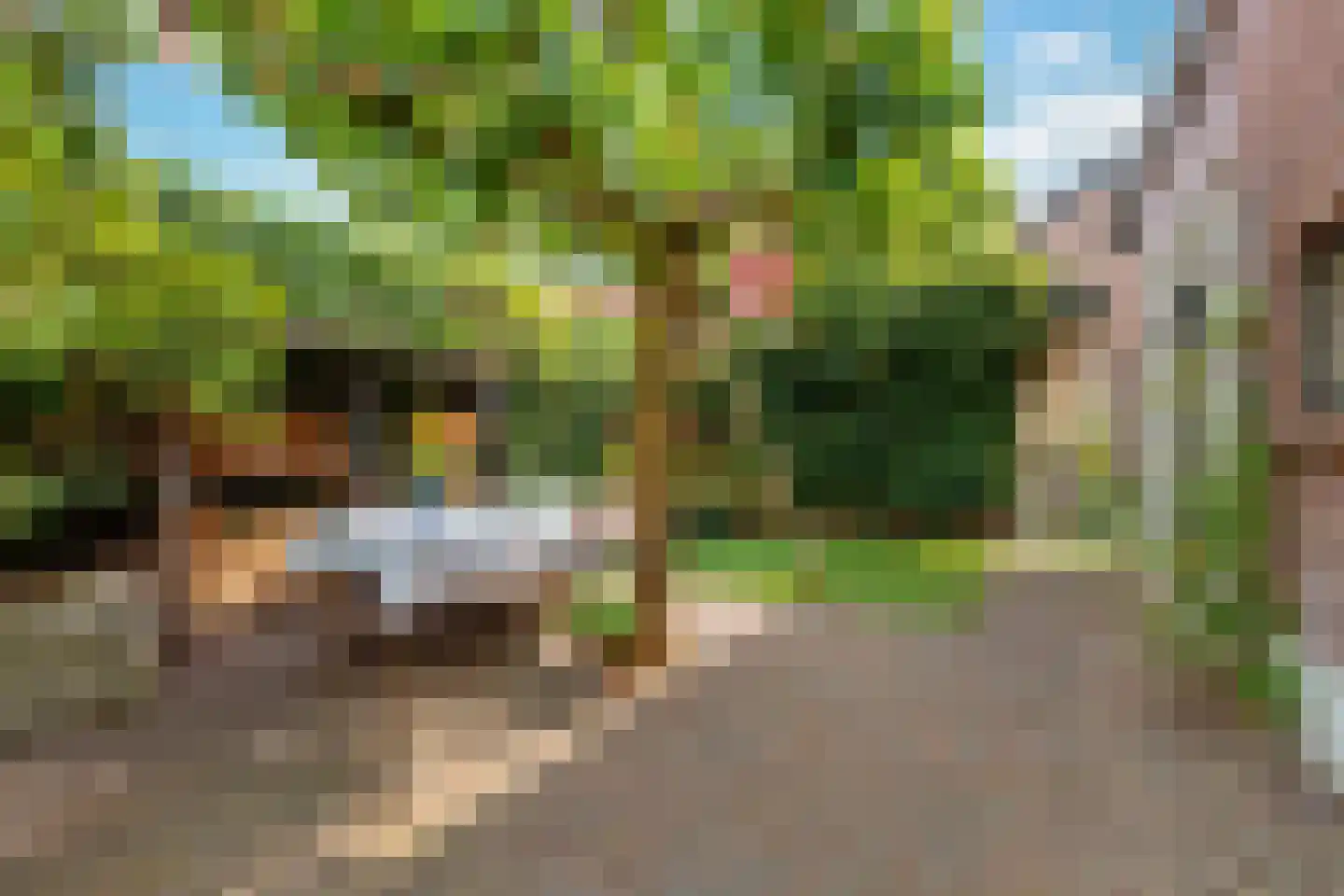 Melkweg 1 Bussum thumbnail 35