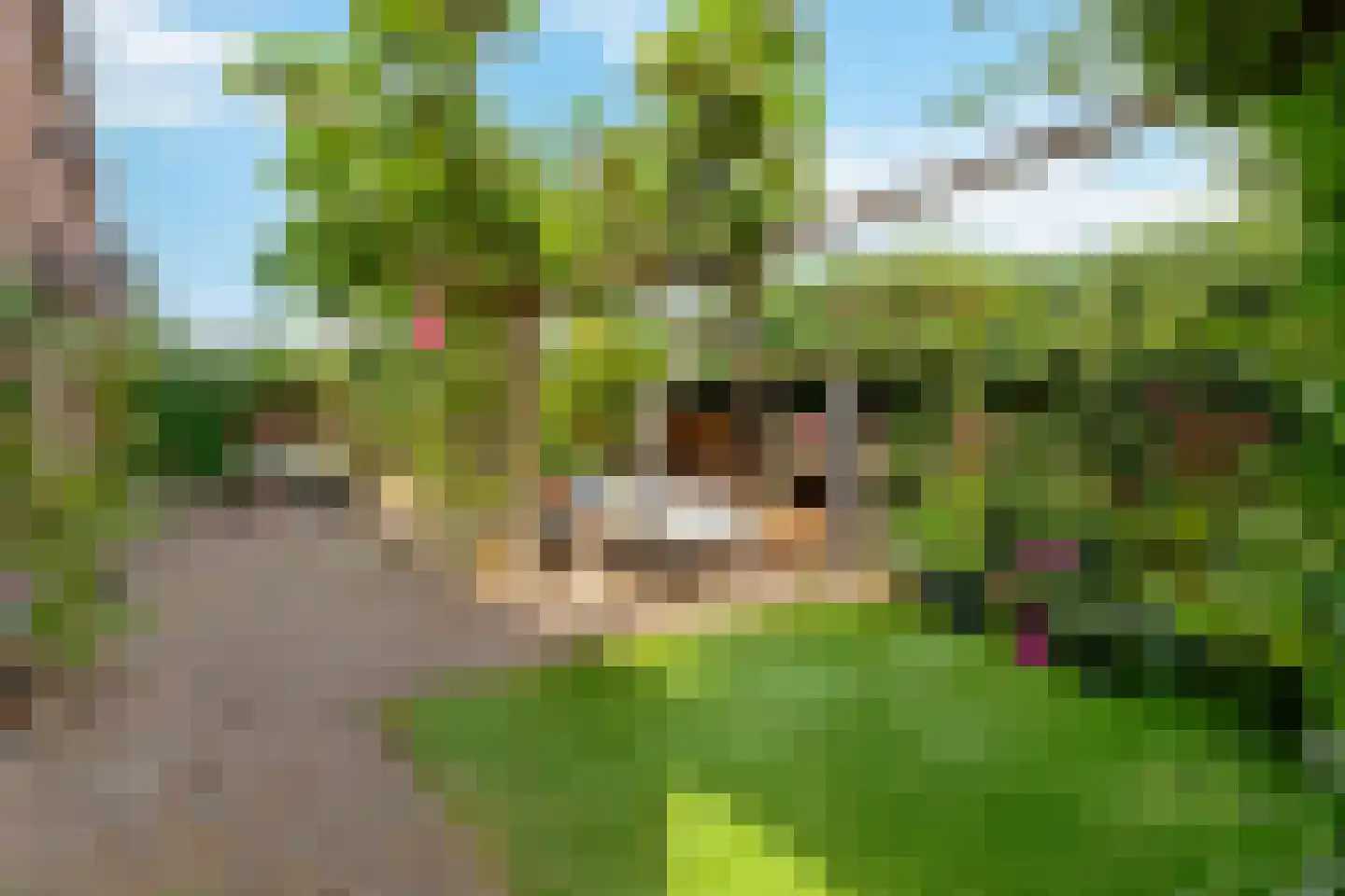 Melkweg 1 Bussum thumbnail 36