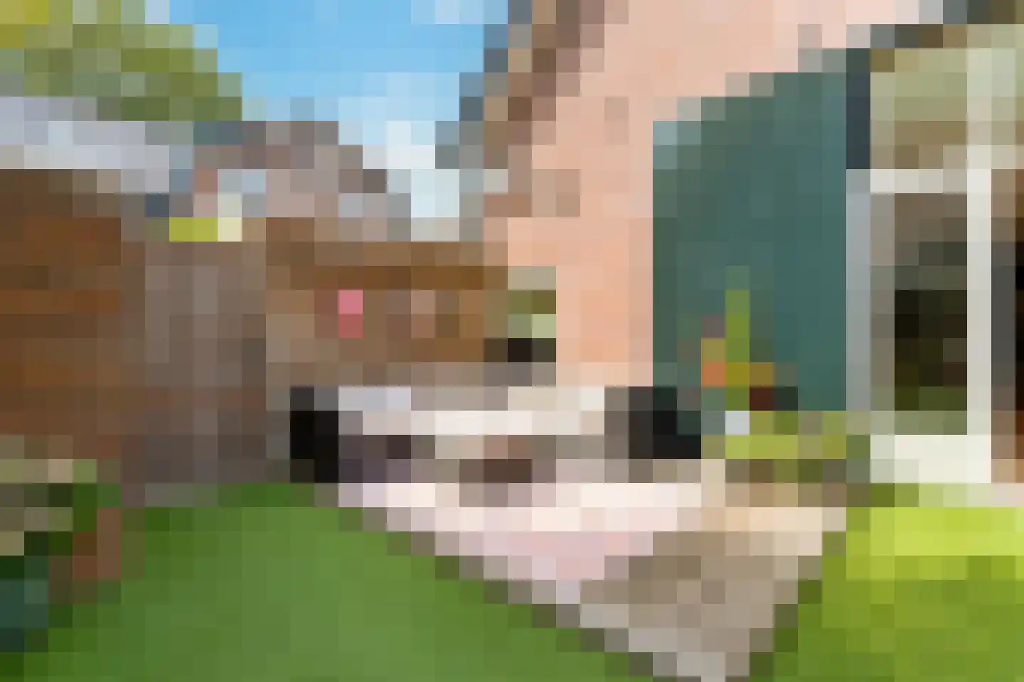 Melkweg 1 Bussum thumbnail 40