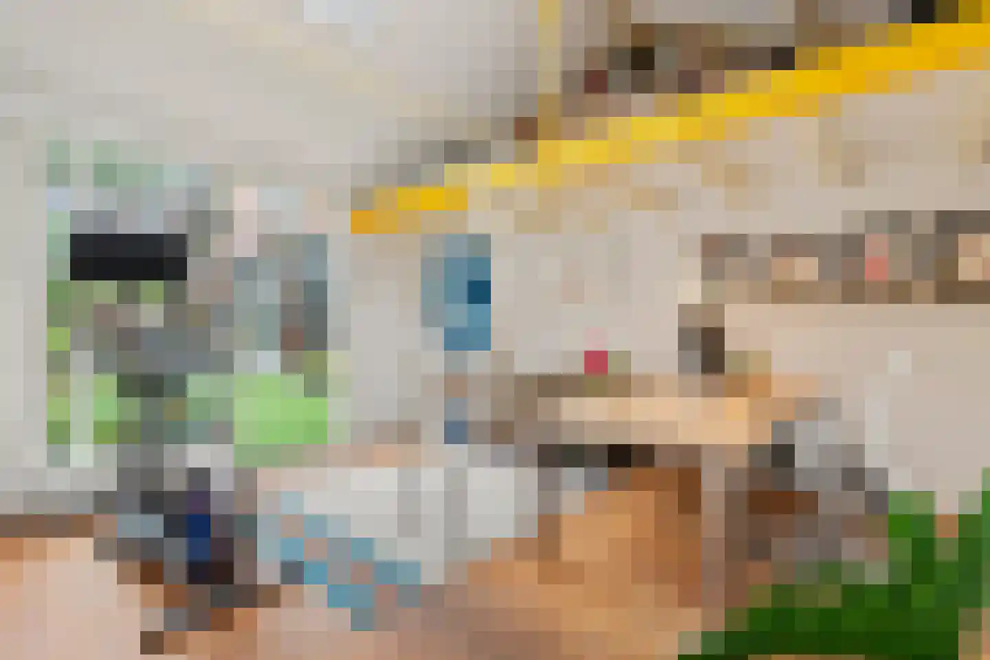 Melkweg 1 Bussum thumbnail 43