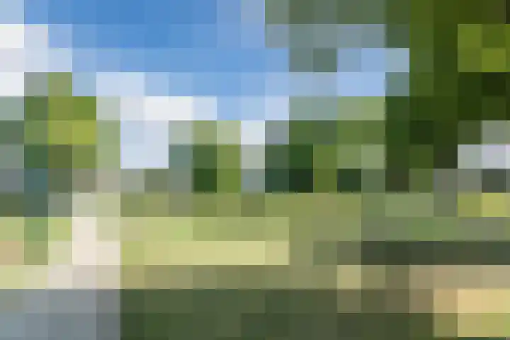 Melkweg 10 Dronten thumbnail 30