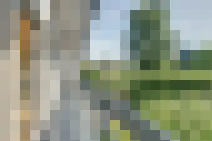 Melkweg 10 Dronten thumbnail 34