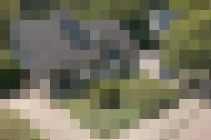 Melkweg 10 Dronten thumbnail 45
