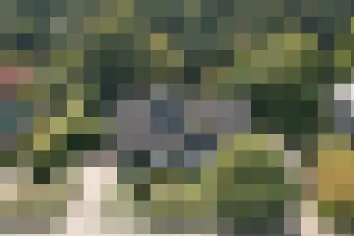 Melkweg 10 Dronten thumbnail 46