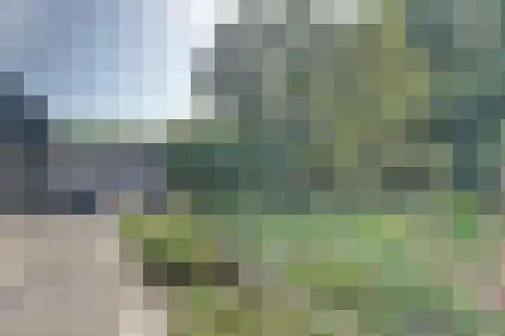 Melkweg 10 Dronten thumbnail 51