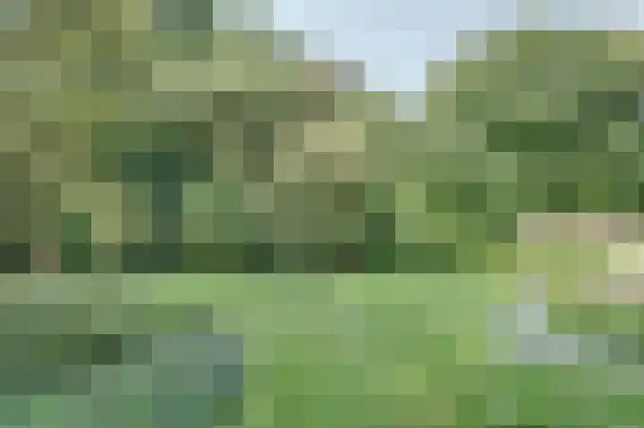 Melkweg 10 Dronten thumbnail 53