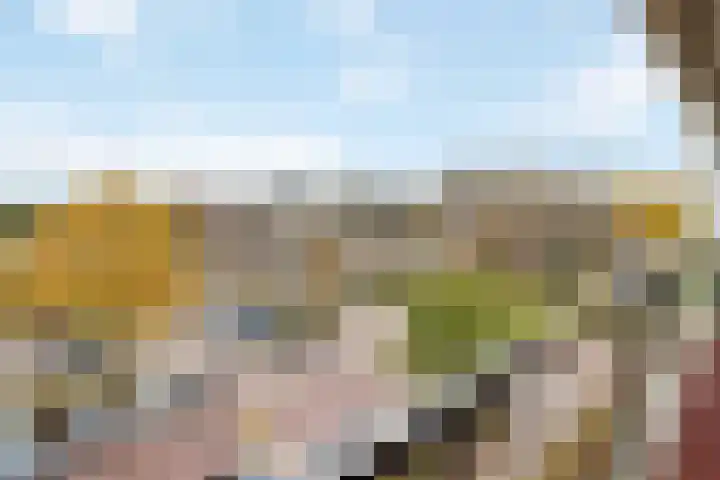 Melkweg 101 Bilthoven thumbnail 25