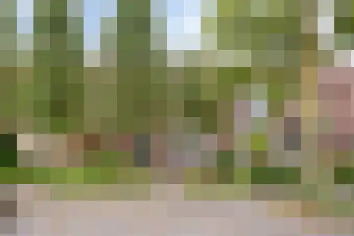 Melkweg 101 Eindhoven