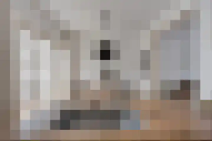 Melkweg 101 Eindhoven thumbnail 12
