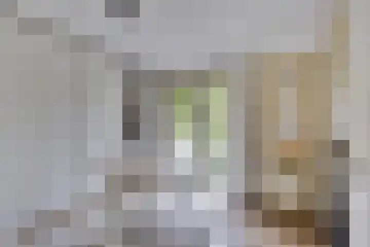 Melkweg 101 Eindhoven thumbnail 27
