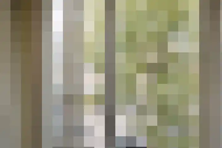 Melkweg 101 Eindhoven thumbnail 29