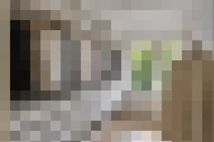 Melkweg 101 Eindhoven thumbnail 30