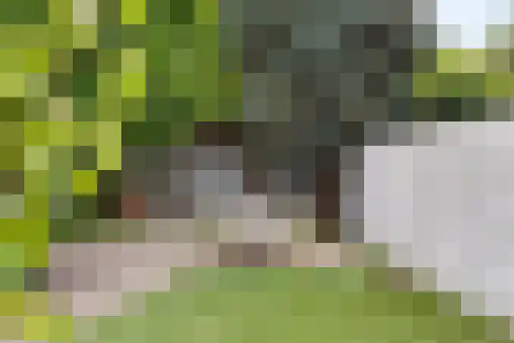 Melkweg 101 Eindhoven thumbnail 34