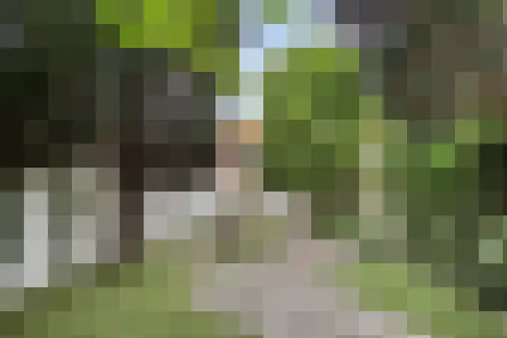 Melkweg 101 Eindhoven thumbnail 38
