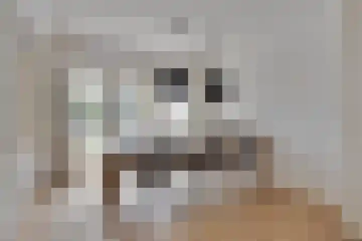 Melkweg 101 Eindhoven thumbnail 5