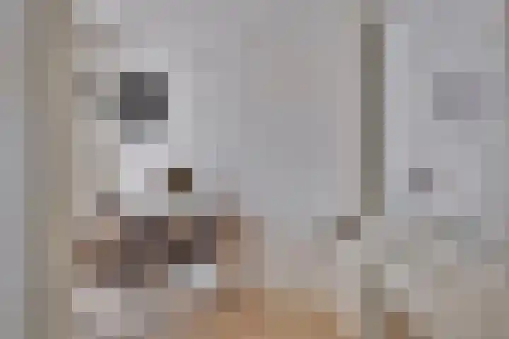Melkweg 101 Eindhoven thumbnail 8