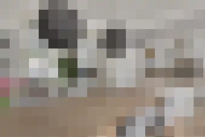 Melkweg 101 Eindhoven thumbnail 9