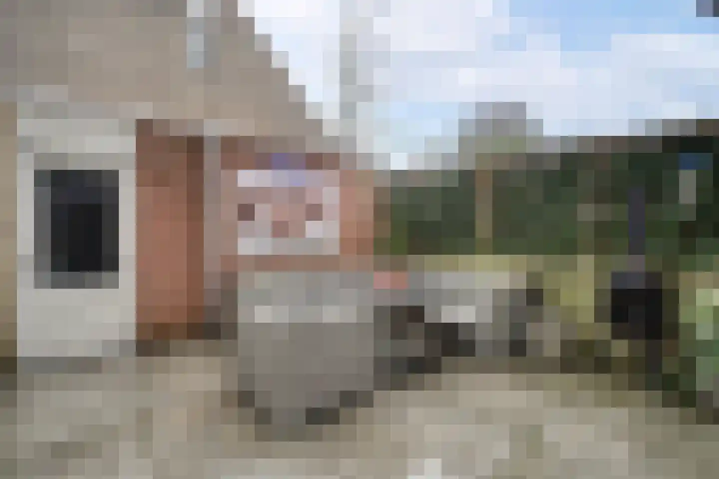Melkweg 108 Katwijk thumbnail 39