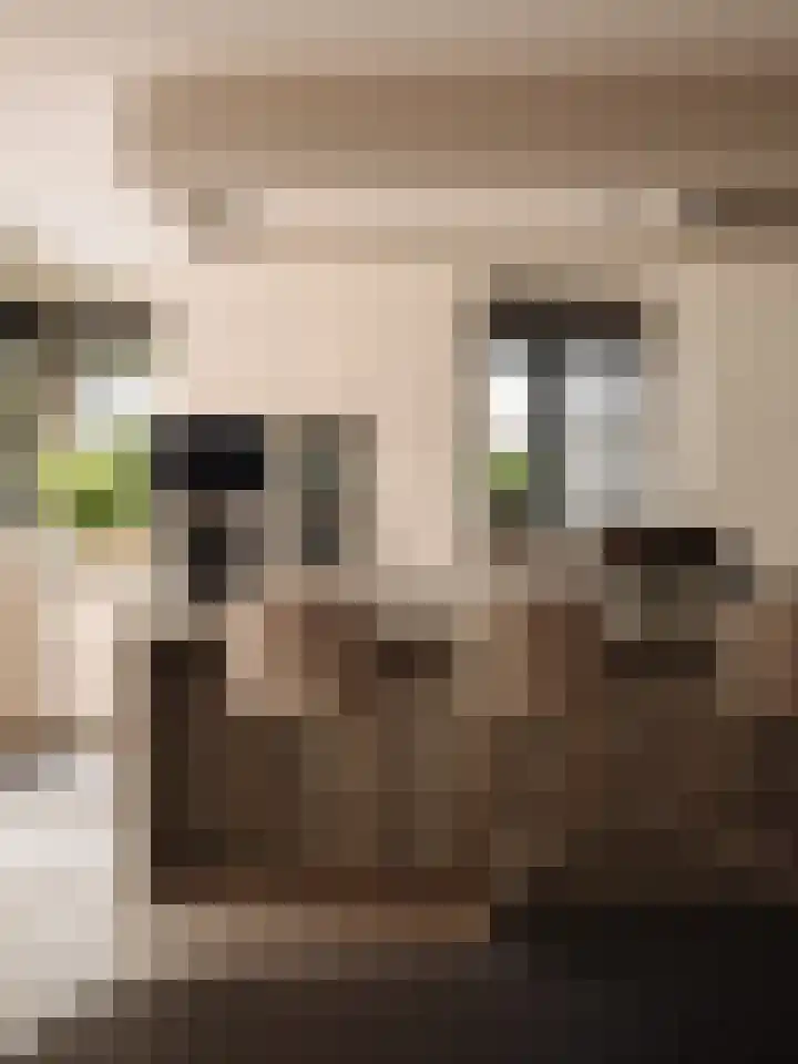 Melkweg 11 Blaricum thumbnail 32