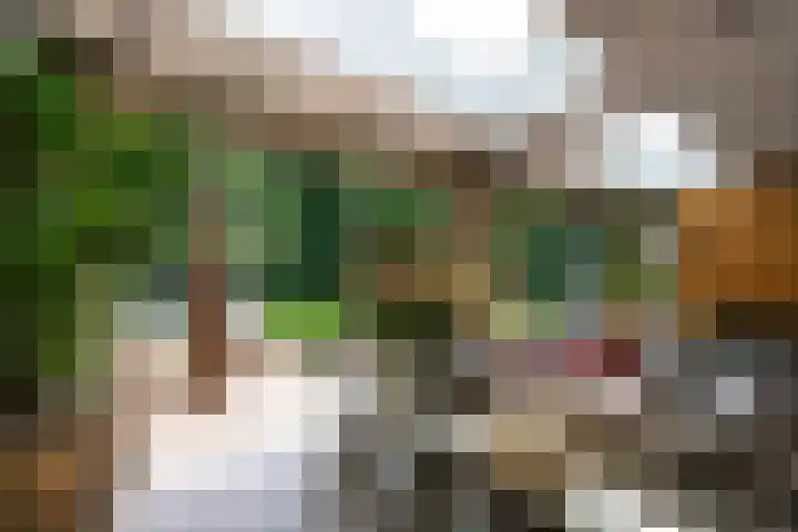 Melkweg 11 Blaricum thumbnail 39