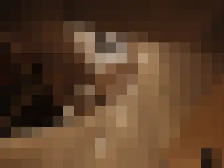Melkweg 11 Blaricum thumbnail 47