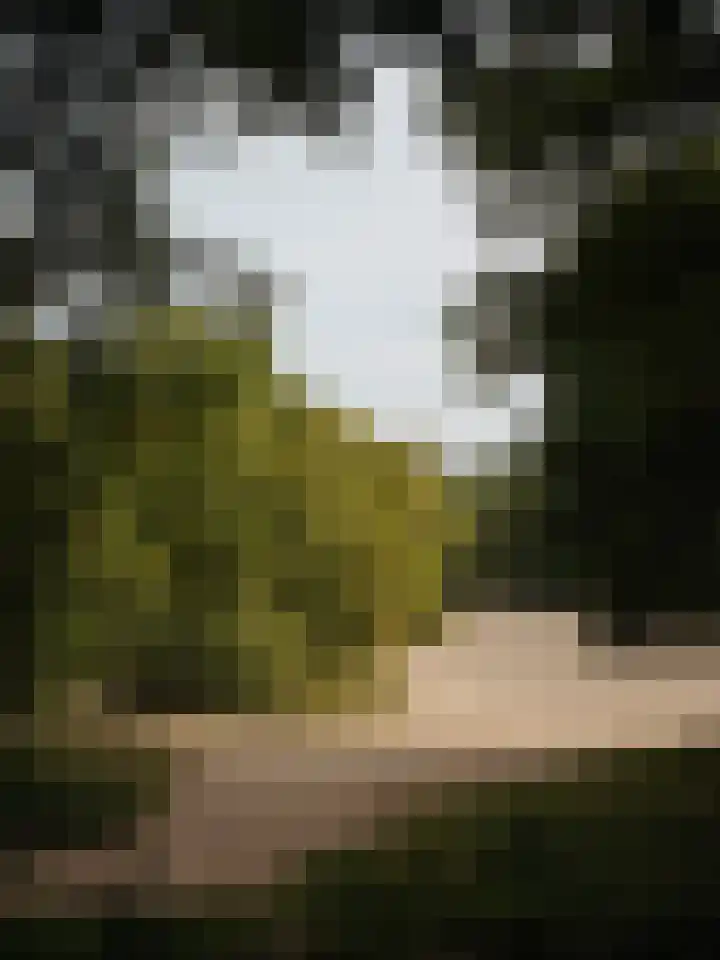 Melkweg 11 Blaricum thumbnail 6
