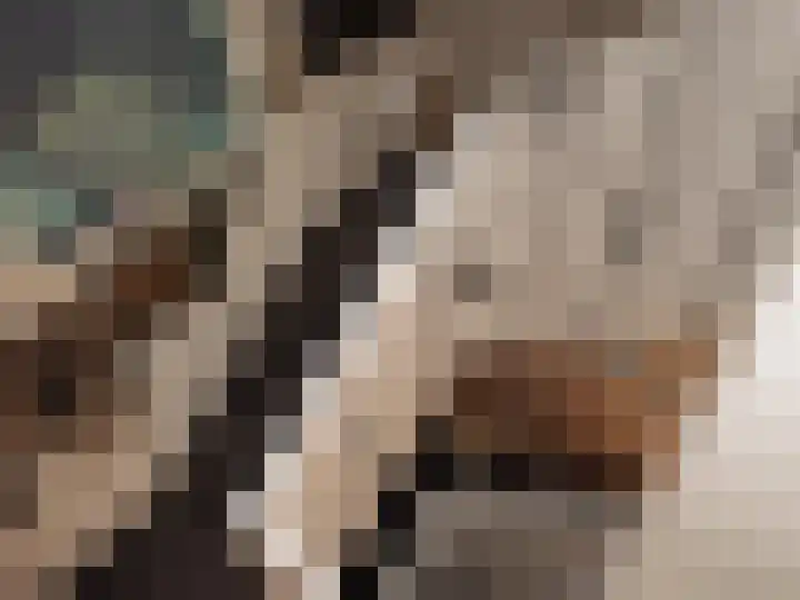 Melkweg 11 Blaricum thumbnail 61