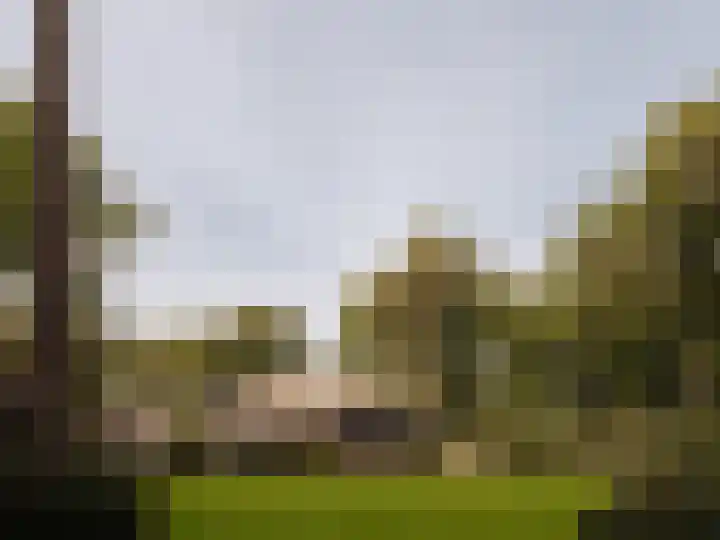 Melkweg 11 Blaricum thumbnail 8