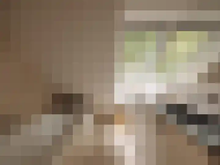 Melkweg 11 Blaricum thumbnail 84