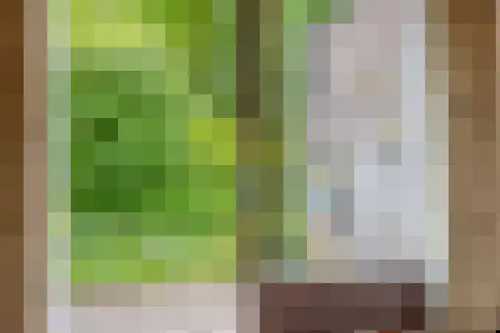 Melkweg 12 Dronten thumbnail 14