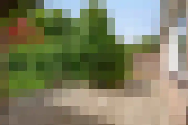 Melkweg 12 Dronten thumbnail 31