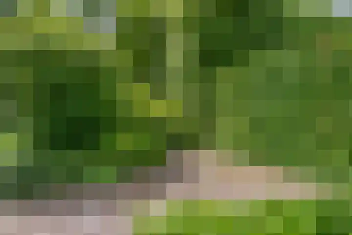 Melkweg 12 Dronten thumbnail 33