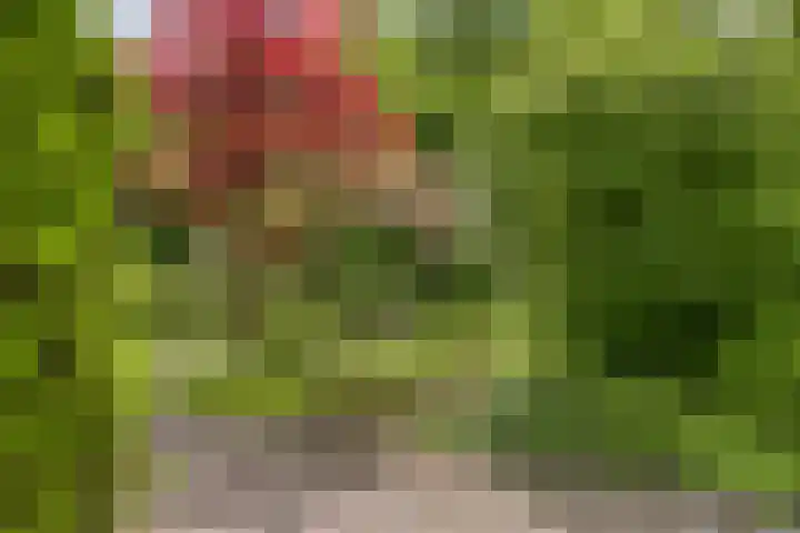 Melkweg 12 Dronten thumbnail 34