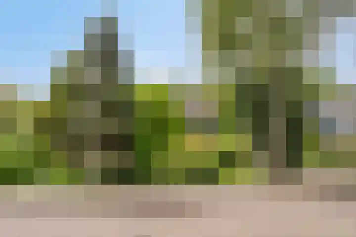 Melkweg 12 Dronten thumbnail 38