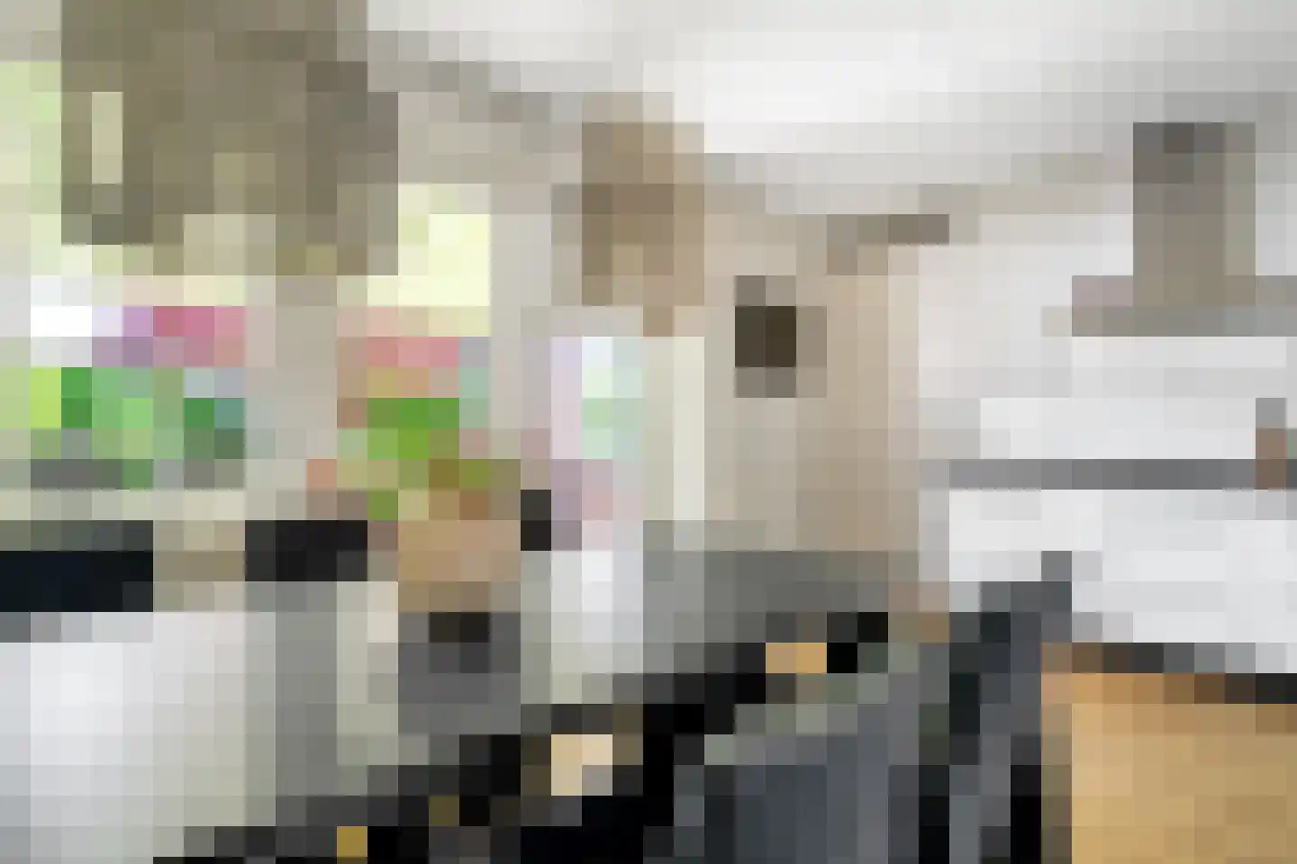 Melkweg 16 Losser thumbnail 17
