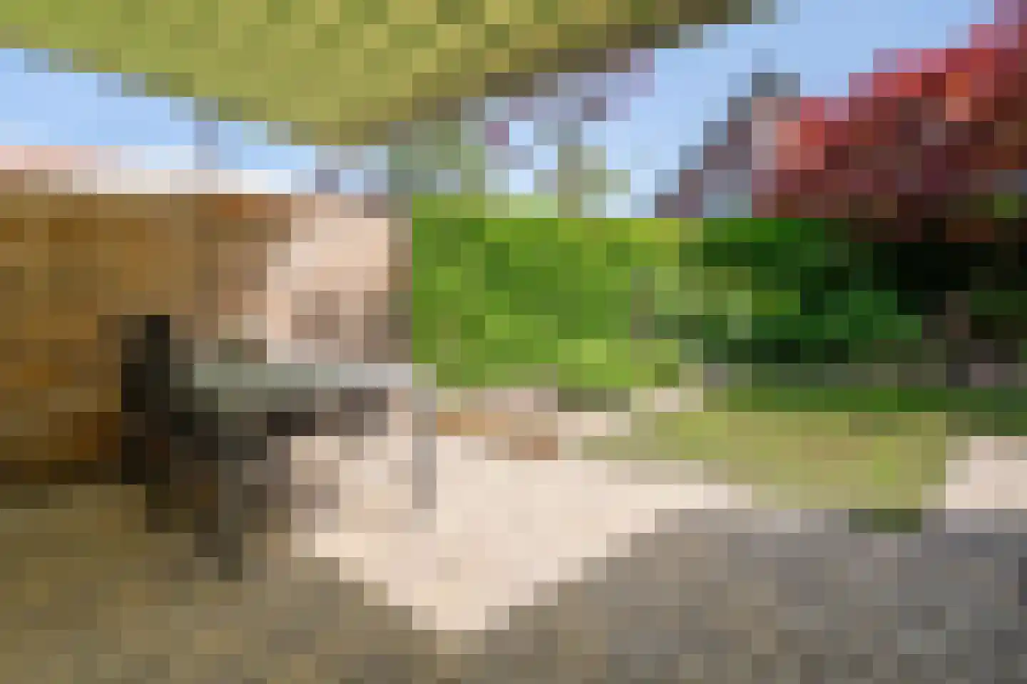 Melkweg 16 Losser thumbnail 37