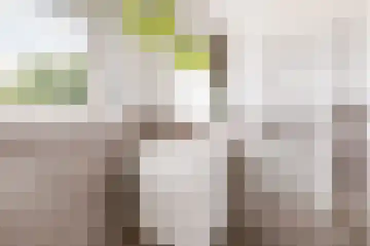 Melkweg 17 Almere thumbnail 30