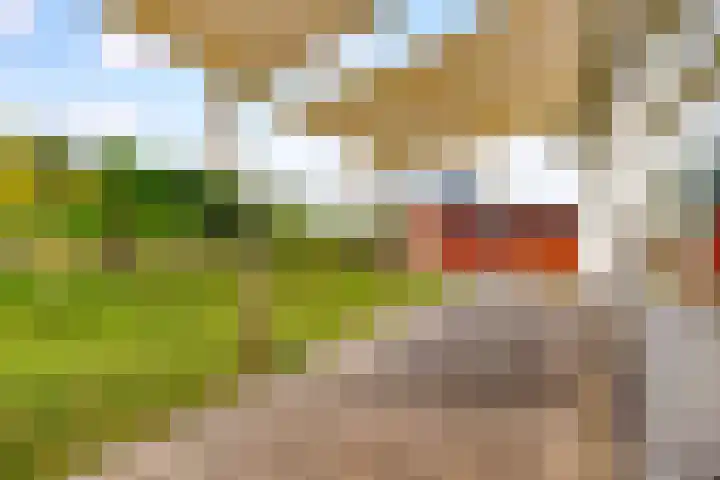 Melkweg 17 Almere thumbnail 39