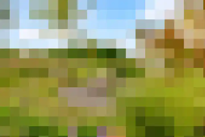 Melkweg 17 Almere thumbnail 48