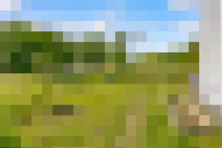 Melkweg 17 Almere thumbnail 60