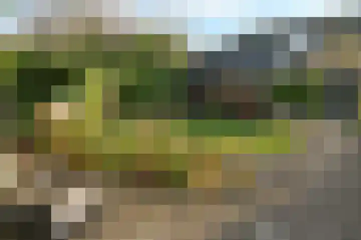 Melkweg 19 Huizen thumbnail 18