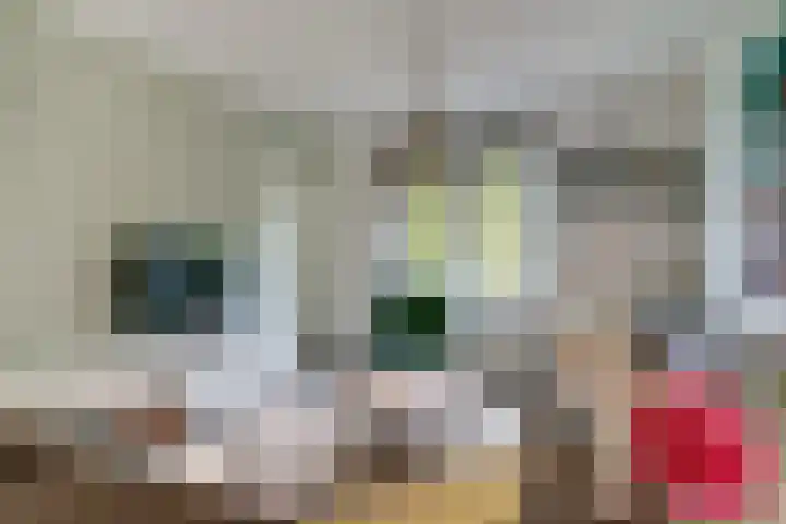 Melkweg 2 112 Beek thumbnail 12