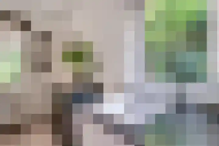 Melkweg 2 112 Beek thumbnail 23