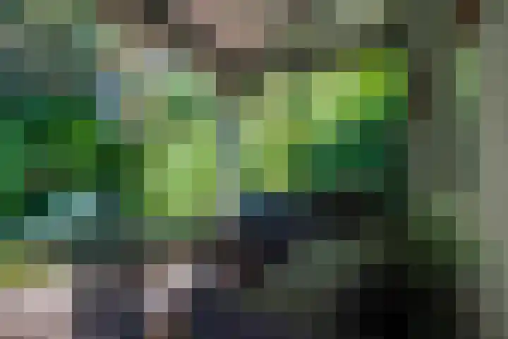 Melkweg 2 112 Beek thumbnail 40