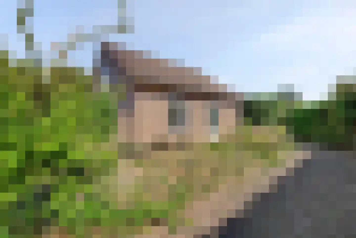 Melkweg 2 119 Beek thumbnail 35