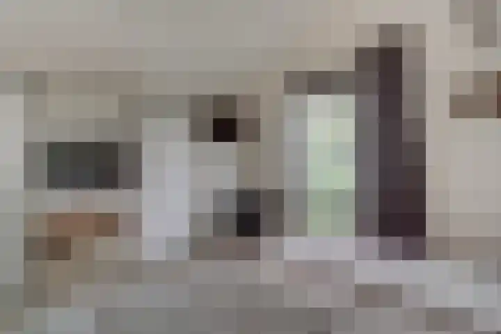 Melkweg 2 120 Beek thumbnail 36