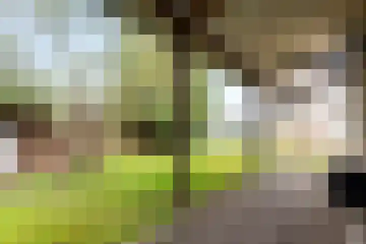 Melkweg 2 122 Beek thumbnail 21